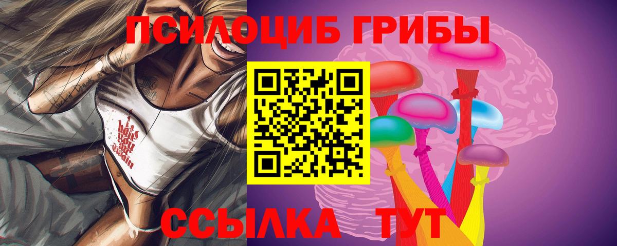 наркота  Псилоцибиновые грибы прущие грибы  Вход с VPN  Юрга 